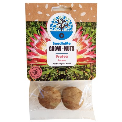 SeedleMe Grownuts - Protea Repens 