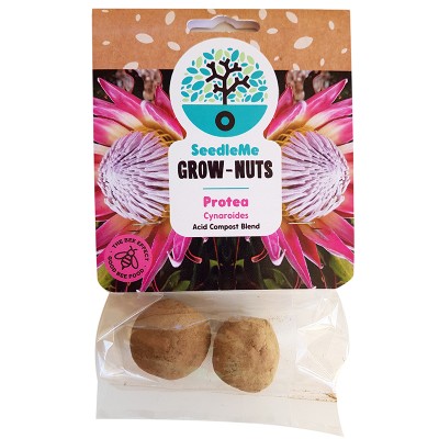 SeedleMe Grownuts - Cynaroides Protea