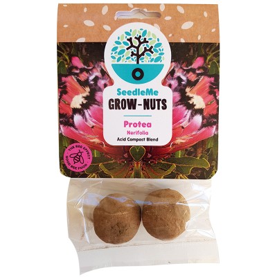 SeedleMe Grownuts - Nerifolia Protea