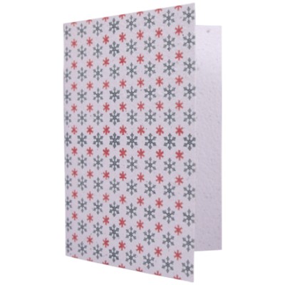 Growing Paper Card Christmas Stars