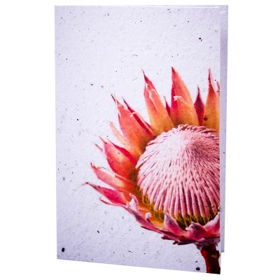 Growing Paper Card - Protea