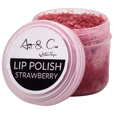 Homespun Apothecary Lip Polish