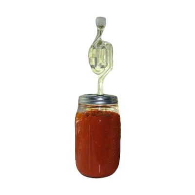 Fermentation Bottle with Airlock & Bung