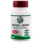 Amorganic Bones Joints Muscles 