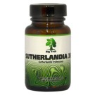 Big Tree Sutherlandia