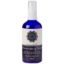 Essential Earth Remedies Toner Rose / Colloidal Silver