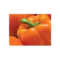 Livingseeds Chillies/Peppers 