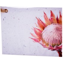 Growing Paper Tag - Protea